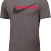 Nike Men's Weightlifting Rawdacious Tee - Grey