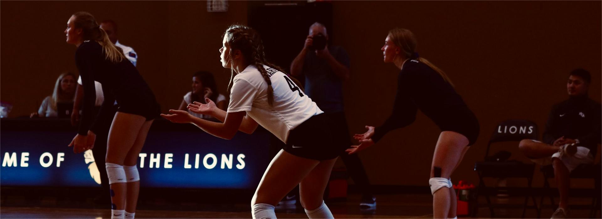 Sportswear Shop -Sportswear Shop raja tilkian tnUcI53e7zA unsplash